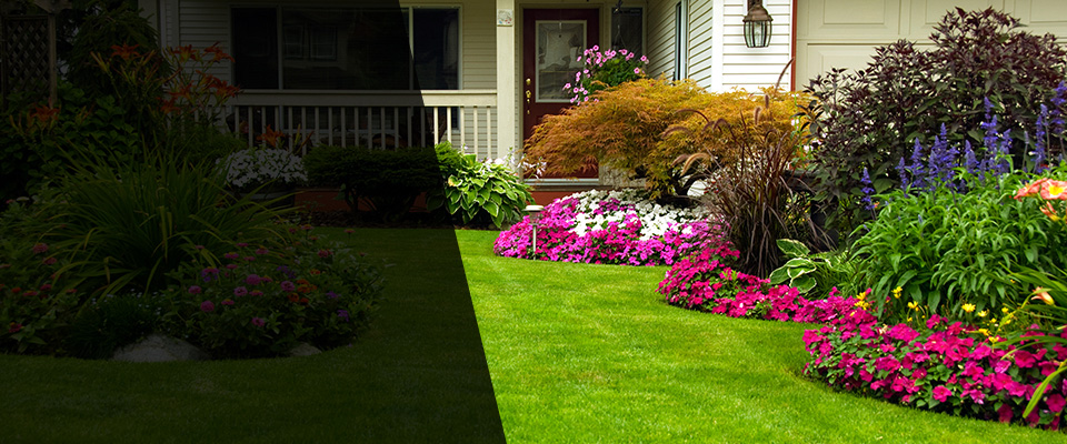Dripping Springs Landscapers