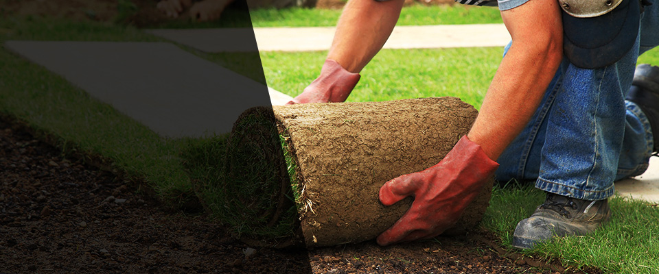 Dripping Springs Landscapers